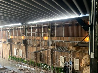 Bảng Hiệu Ốc Đêm Chú Kiệt 5 Garden