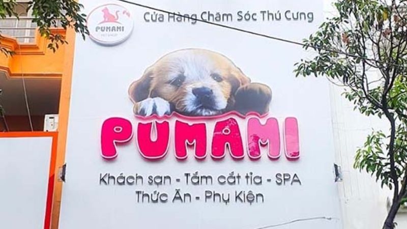 Thi Công Bảng Hiệu Spa Thú Cưng Đẹp