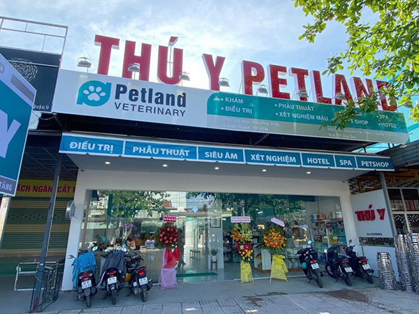 Thi Công Bảng Hiệu Spa Thú Cưng Đẹp