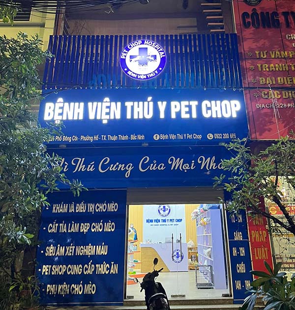 Mẫu Bảng Hiệu Spa Thú Cưng Đẹp
