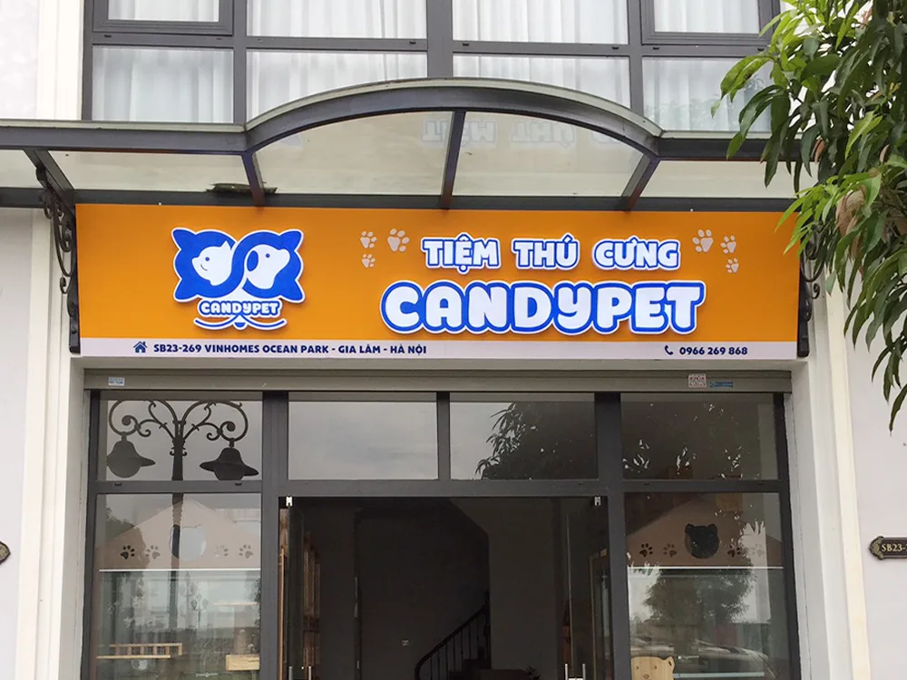Thi công biển hiệu quảng cáo chuyên nghiệp tại TP.HCM