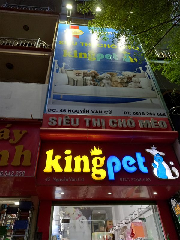 Thi công biển hiệu cửa hàng